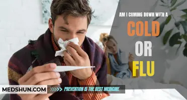 Is It a Cold or the Flu? How to Tell the Difference