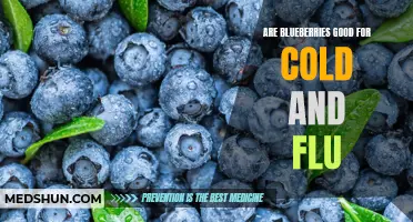 The Benefits of Blueberries for Cold and Flu: A Natural Remedy