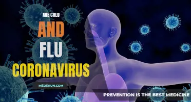 Exploring the Similarities and Differences between Cold, Flu, and the Coronavirus