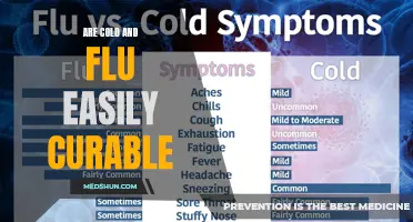 Cold and Flu: Discover How Easily They Can Be Cured