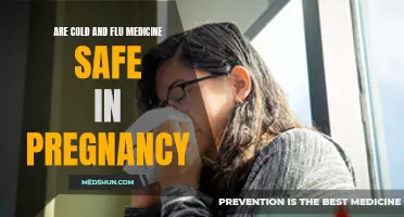 The Safety of Cold and Flu Medicine During Pregnancy