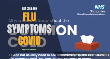 Exploring the Similarities and Differences Between Cold, Flu, and COVID Symptoms