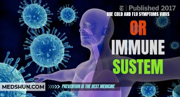 Understanding the Difference: Are Cold and Flu Symptoms Caused by a Virus or the Immune System?