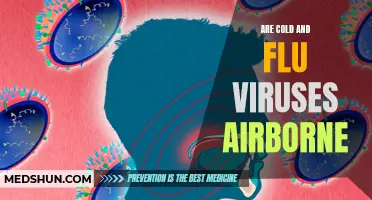 Exploring Airborne Transmission of Cold and Flu Viruses