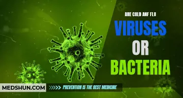 Are Cold and Flu Viruses or Bacteria to Blame for Your Winter Misery?