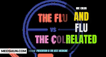 Understanding the Link Between Colds and Flu: How Are They Related?