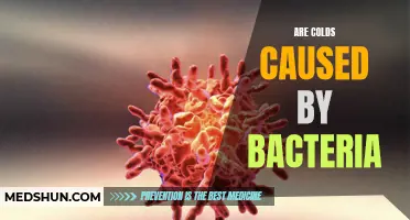Exploring the Role of Bacteria in the Onset of Colds