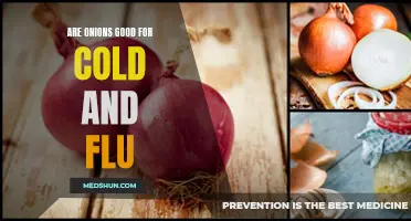 Why Onions are Beneficial for Cold and Flu Symptoms