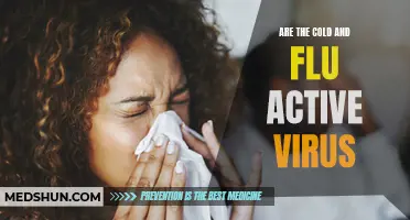 The Constant Threat: Unveiling the Active Viruses Behind the Cold and Flu