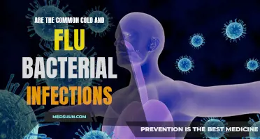 The Relationship Between the Common Cold and Flu: Comparing Bacterial Infections