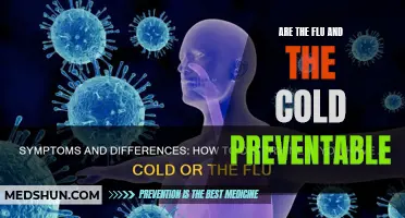 The Science behind Preventing the Flu and the Common Cold