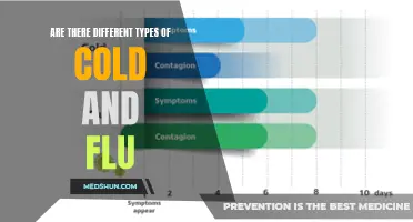 Exploring the Different Types of Cold and Flu: A Comprehensive Guide