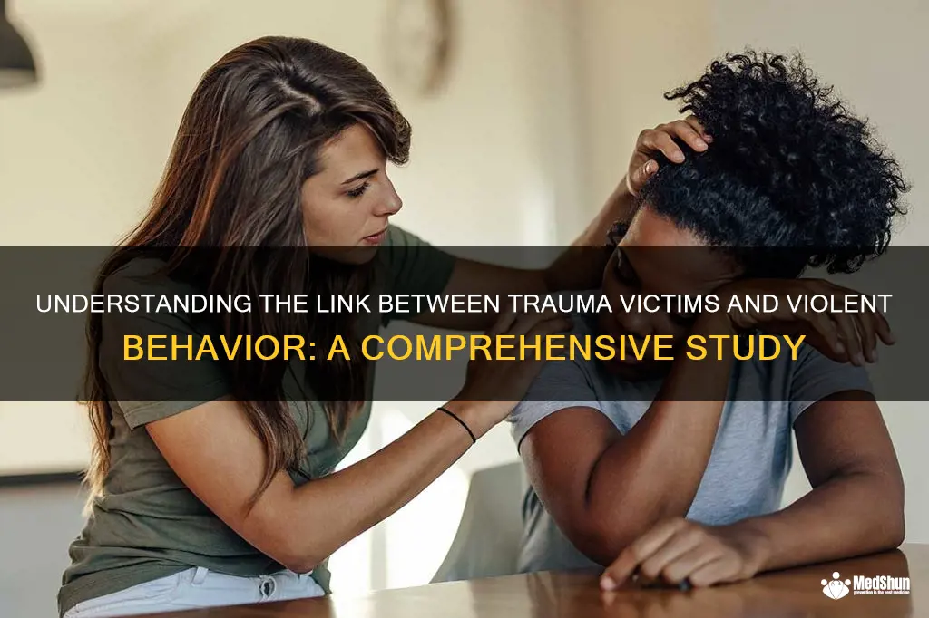 are trauma victims more likely to be violent study