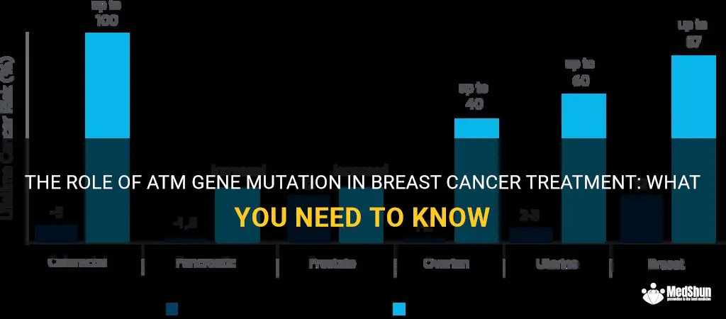 atm gene mutation breast cancer treatment