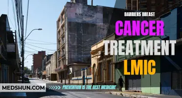 Breaking Down Barriers: Breast Cancer Treatment in Low- and Middle-Income Countries