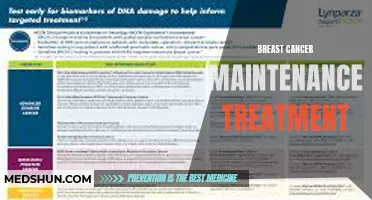 Exploring the Importance of Breast Cancer Maintenance Treatment: Key Facts and Considerations