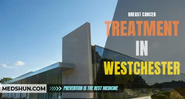 Understanding Options for Breast Cancer Treatment in Westchester County