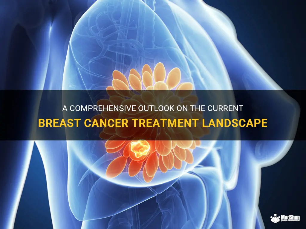 breast cancer treatment landscape