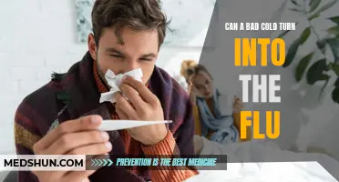Exploring the Connection: Can a Severe Cold Develop into the Flu?