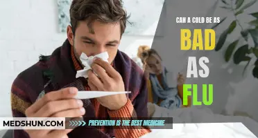 What You Need to Know: Can a Cold Be as Bad as the Flu?