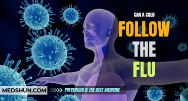 The Relationship Between the Flu and Common Colds: Can a Cold Follow the Flu?