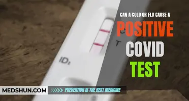 Understanding the Interplay Between Colds, Flus, and False Positive Covid Tests