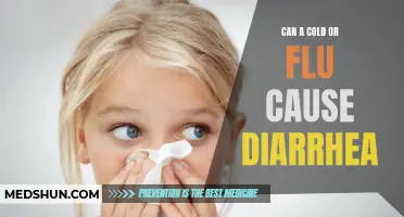 The Connection Between Cold or Flu and Diarrhea: What You Need to Know