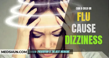 Can a Cold or Flu Lead to Dizziness? Understanding the Connection