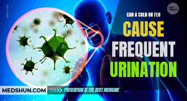 When a Cold or Flu Triggers Frequent Urination