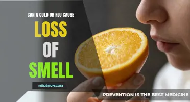 Can a Cold or Flu Lead to Loss of Smell?