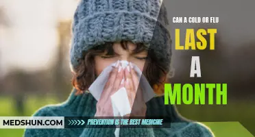 Why Do Some Cases of Cold or Flu Last Up to a Month?