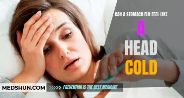 Similar Symptoms: Can a Stomach Flu Mimic a Head Cold?