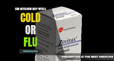 Can Acyclovir Help Alleviate the Symptoms of a Cold or Flu?
