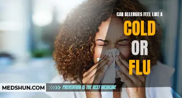 Allergies vs. Cold or Flu: Unveiling the Similar Symptoms