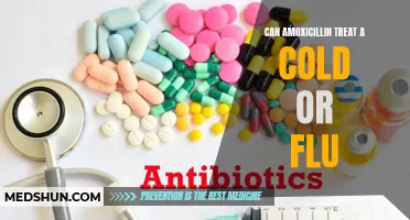 Can Amoxicillin Help Treat a Cold or Flu?