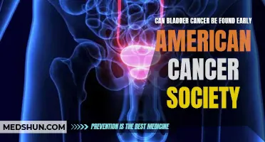 Early Detection of Bladder Cancer: Insights from the American Cancer Society