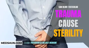 The Potential Link Between Blunt Testicular Trauma and Sterility