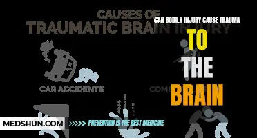 Can Bodily Injury Lead to Trauma in the Brain?