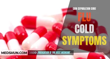 Cephalexin: A Potential Treatment for Alleviating Cold and Flu Symptoms