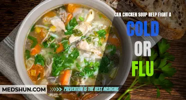 Harness the Healing Power of Chicken Soup to Combat Cold and Flu Symptoms