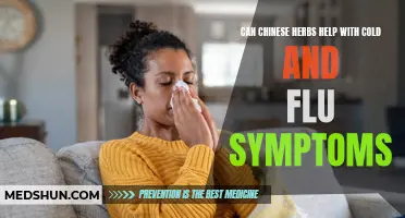 How Chinese Herbs Can Help Alleviate Cold and Flu Symptoms