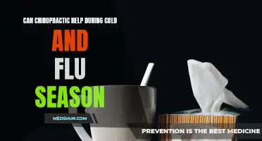 Unlocking the Benefits: How Chiropractic Care Can Support Your Immune System During Cold and Flu Season