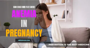 Can Cold and Flu Lead to Anemia in Pregnancy?