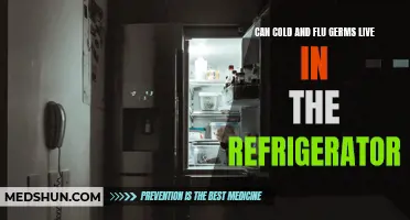 Can Cold and Flu Germs Survive in the Refrigerator?