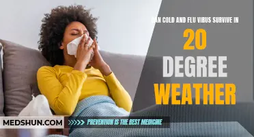 The Survival of Cold and Flu Viruses in 20 Degree Weather: What You Need to Know