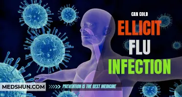 The Connection Between Cold Temperatures and Flu Infection