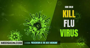 Understanding How Cold Temperatures Can Potentially Kill the Flu Virus