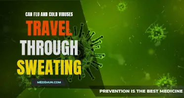 Can Flu and Cold Viruses Travel Through Sweating?