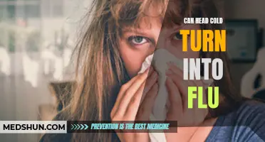 From Head Cold to Flu: The Possible Progression of a Common Cold