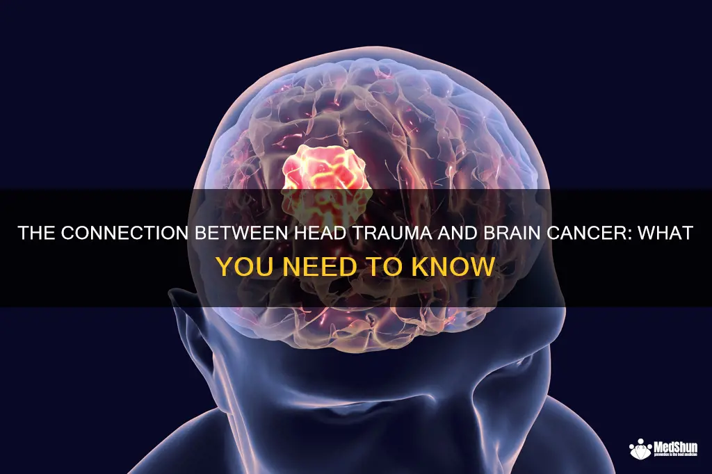 The Connection Between Head Trauma And Brain Cancer: What You Need To ...